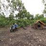 Safari Park with three small asiatic black bears