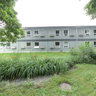 Garden Near Vlad Motor Inn