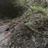 Hlbocka valley - rocky gorge