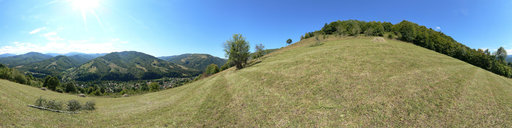 Ribaritsa