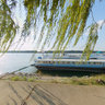 Relaxing at the Danube
