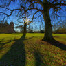 Vallo castle park