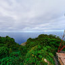 SABA hight top