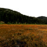 Grass Lake Luther Pass