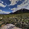Granite rock at the foot of the Sierra