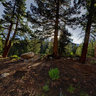 Hope Valley, California