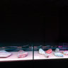 Perm Krai Museum exhibition 7