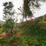View near road to Karon viepoint