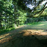 Pelister national park