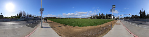 The last Orange Tree Orchard in Silicon Valley