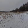 Under Milesovka