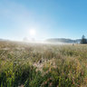 Novohradske mountains - meadow2