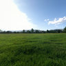 Cerdanya field