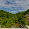 Lam Tei Irrigation Reservoir 藍地灌溉水塘