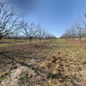 Rancho La Esperanza - Huerto