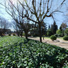 In the gardens of Palau Reial (Royal Palace), Barcelona