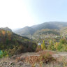 Şavşat