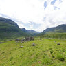 Guridalen