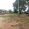 Nova Zelândia Farm