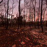 Mt. carmel after the big fire