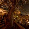 Kiyomizu Dera Top Kyoto Light Up