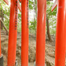 Fushimi Inari Shrine Kyoto Japan