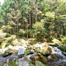 Kumano Kodo Waterfall