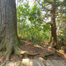 DaimonZaka in KumanoKodo Japan, UNESCO World Herritage