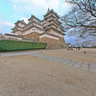 The magnificent White Heron (Himeji Castle) - Unesco world herritage & Japan national tressure