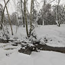 Winter creek