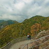 Poenari Castle