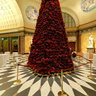 Kurhaus Wiesbaden Weihnachtsstern