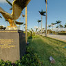 Eagle @ Royal Poinciana Way