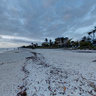 Bonita Beach Sunset