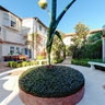 Backyard of Worth Avenue - Giant Flower