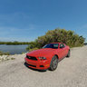 Riding our Mustang on Ding Darling Drive