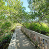 Platform Trail @ Ding Darling Natl Wildlife Refuge