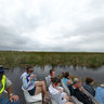 Loxahatchee Airboot Ride - Can U find the gator?
