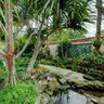 The Four Arts Garden - Another View