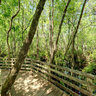 Corkscrew Swamp Sanctuary