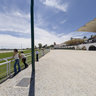 Horse racing photo finish