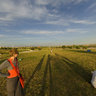 Kites flying at Juan Carlos I park