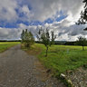 Kelniky - cast Paseky