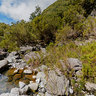 Madeira Island - Lagoa do Vento
