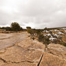 Snowstorm at the Grand Canyon, South Rim, Arizona USA