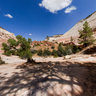 East Side of Zion National Park, Near Entrance, Utah, USA