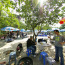 Yuen Long Tai Tong Laichee Garden