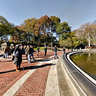 Bethesda Fountain and Terrace, Central Park, New York City