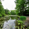 Montgomery Pinetum Park, Cos Cobb, CT