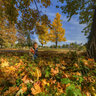 October Day